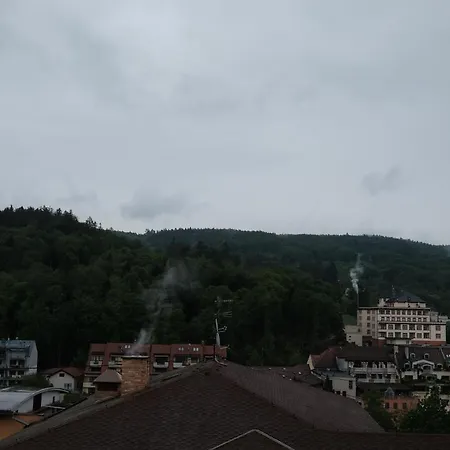 Luxusni Vila Adela *